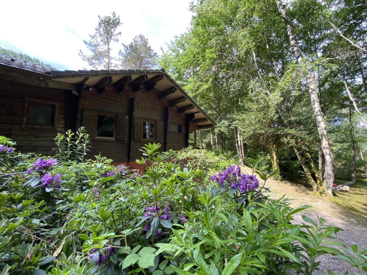 Le Fishing Lodge Chalet En Bois Avec Bain Nordique ラ・ブレス エクステリア 写真